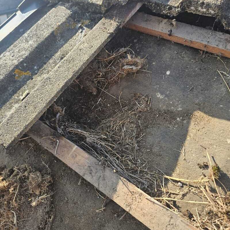 new upvc rain water system wickford 03