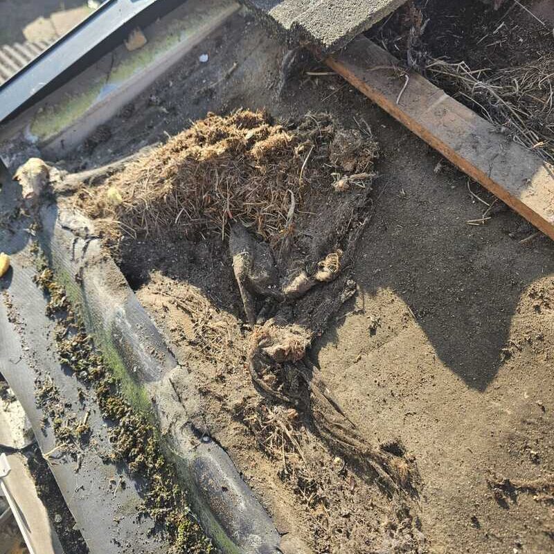 new upvc rain water system wickford 04