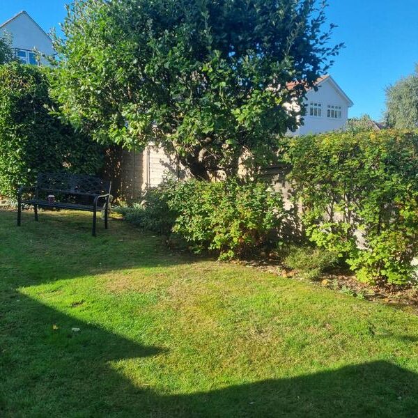 new fence in billericay 01