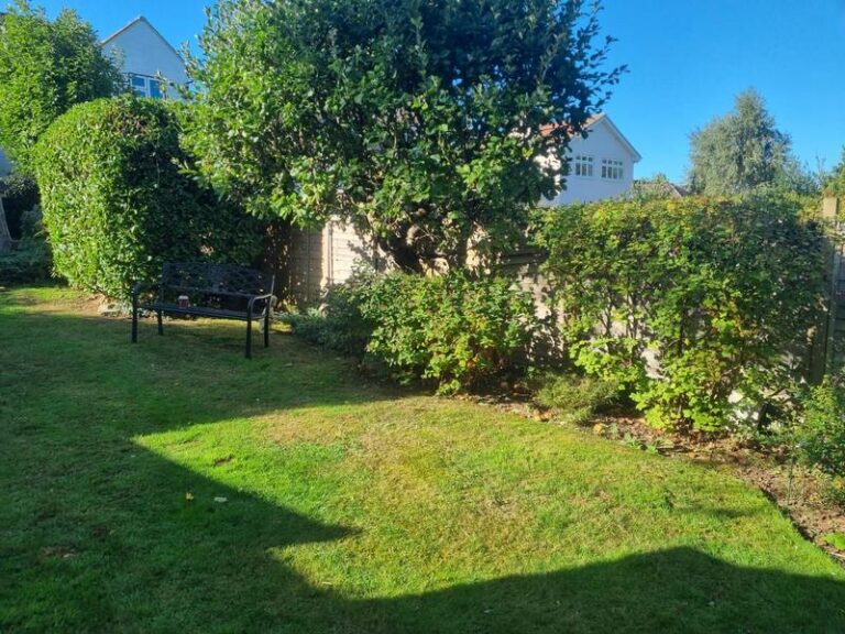 new fence in billericay 01