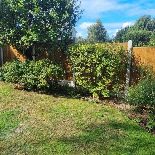 new fence in billericay 03