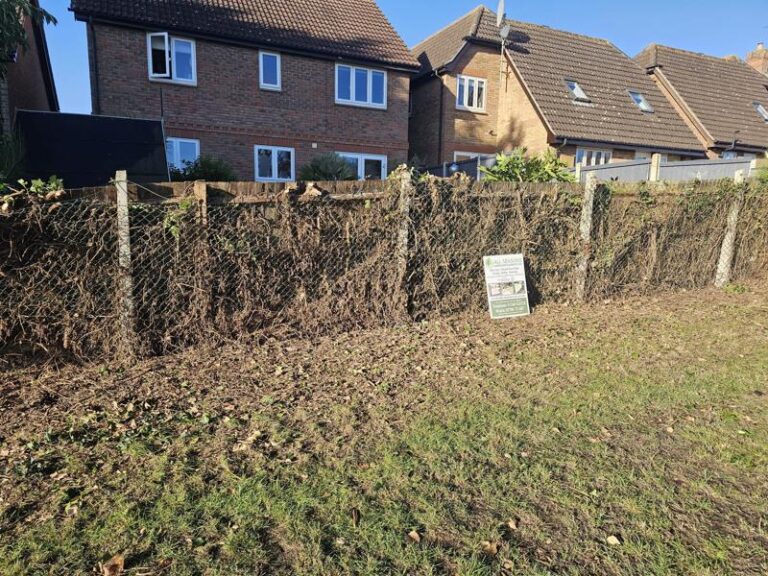feather-edge-fence-rayleigh-1