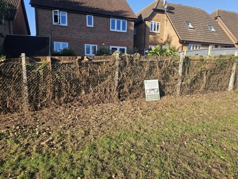 feather-edge-fence-rayleigh-2