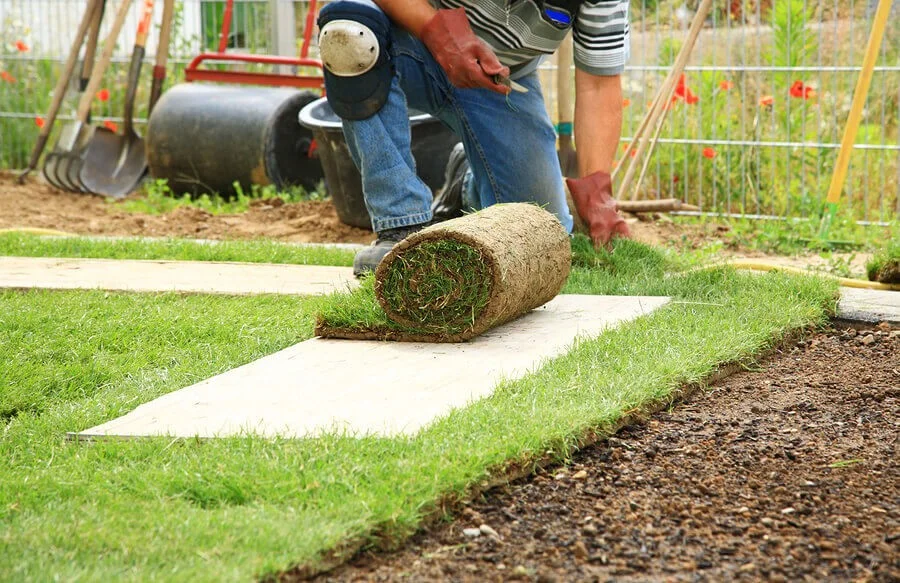 artificial grass turfing service